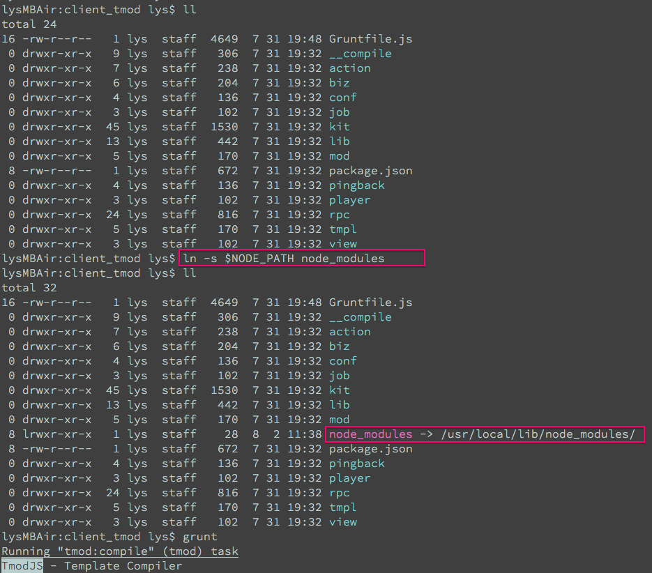 ln -s $NODE_PATH node_modules